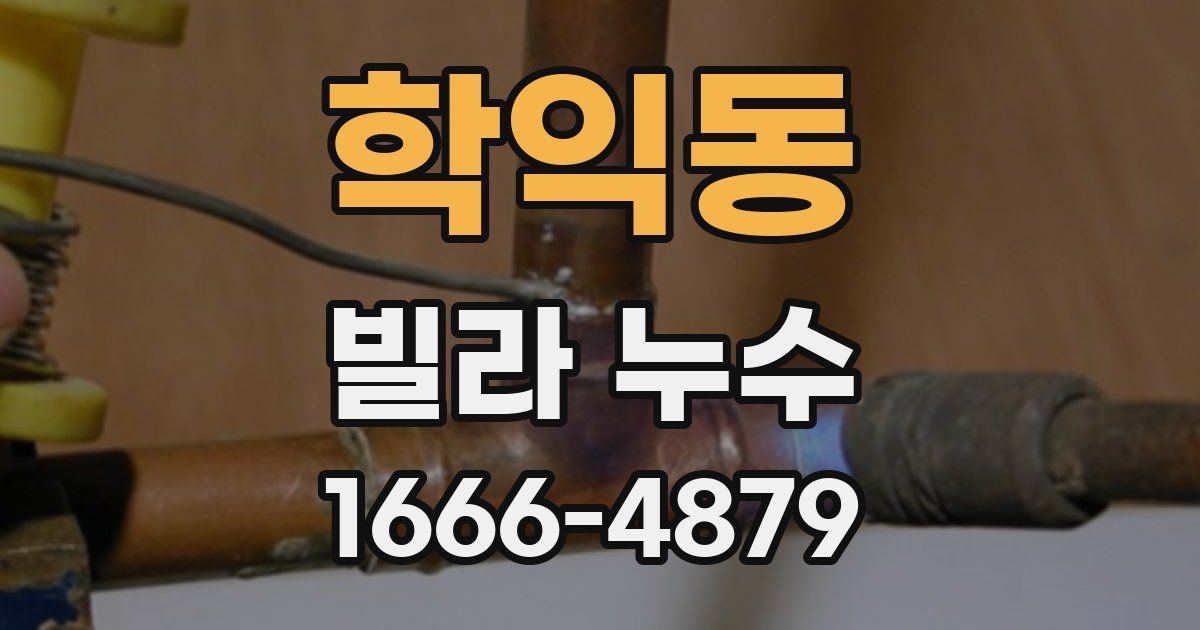 학익동 빌라 누수