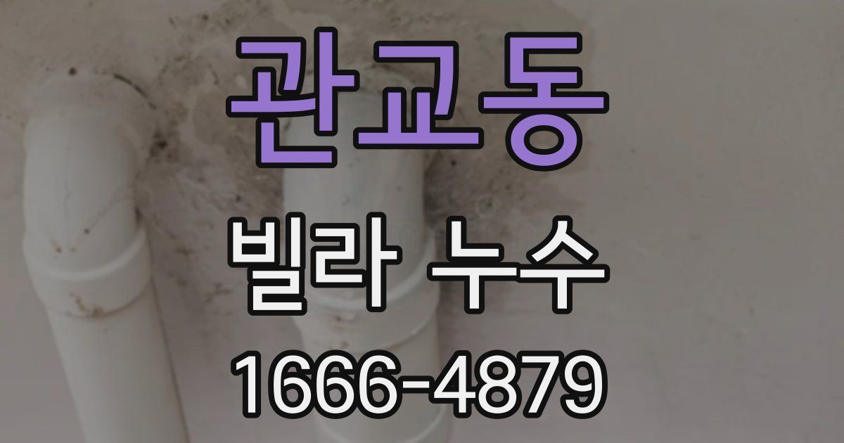 관교동 빌라 누수