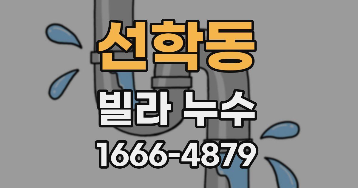 선학동 빌라 누수