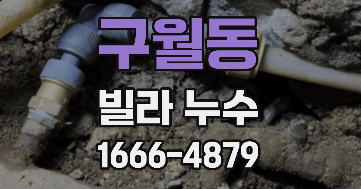구월동 빌라 누수