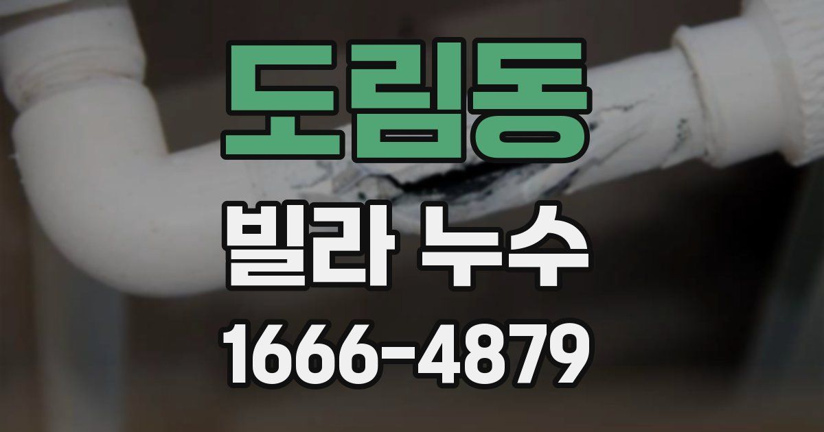 도림동 빌라 누수