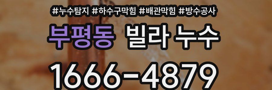 부평동 빌라 누수