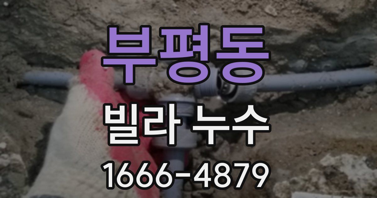 부평동 빌라 누수