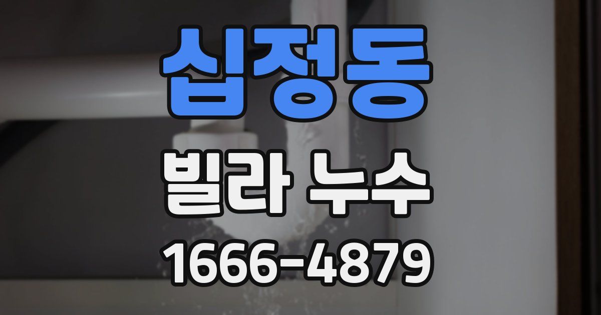 십정동 빌라 누수