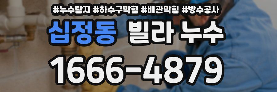 십정동 빌라 누수