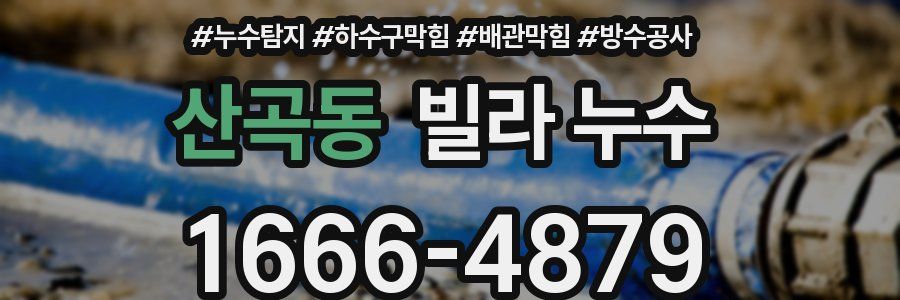 산곡동 빌라 누수