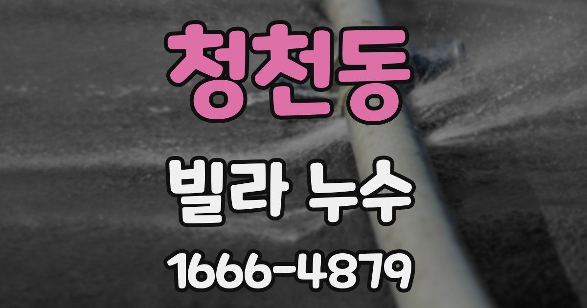 청천동 빌라 누수