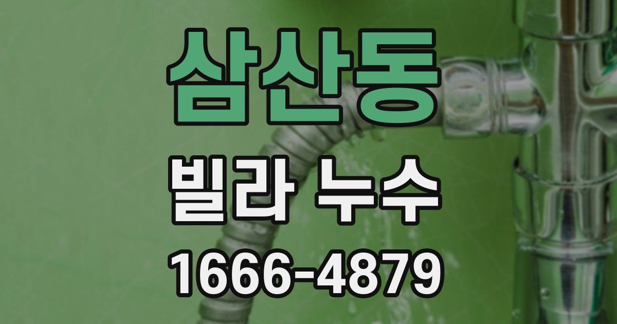 삼산동 빌라 누수