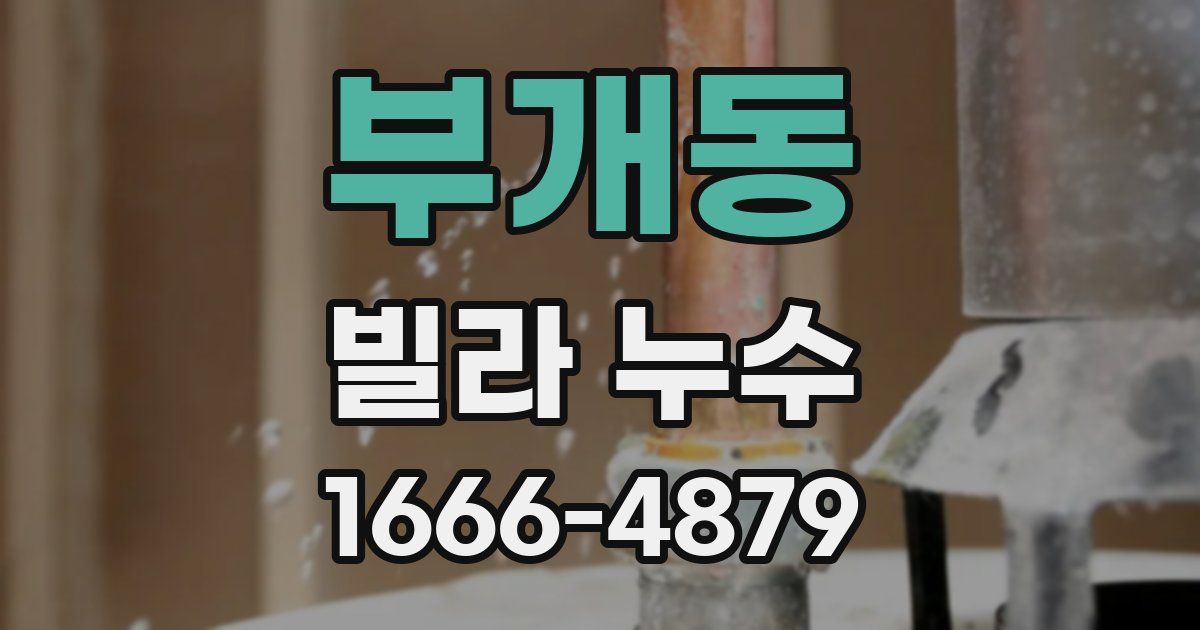 부개동 빌라 누수