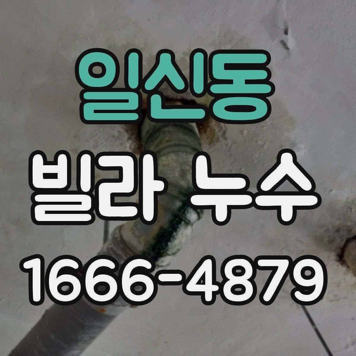 일신동 빌라 누수 원인과 점검이 필요한 신호
