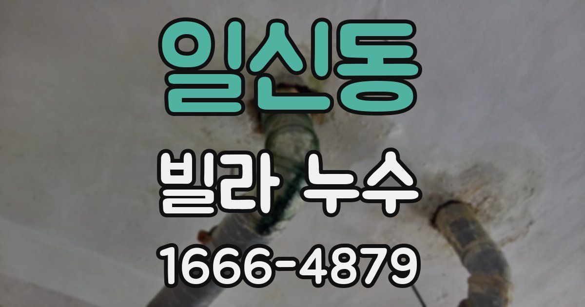 일신동 빌라 누수