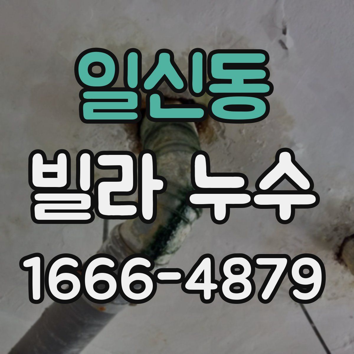 일신동 빌라 누수