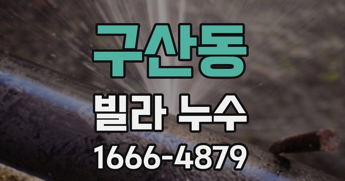 구산동 빌라 누수