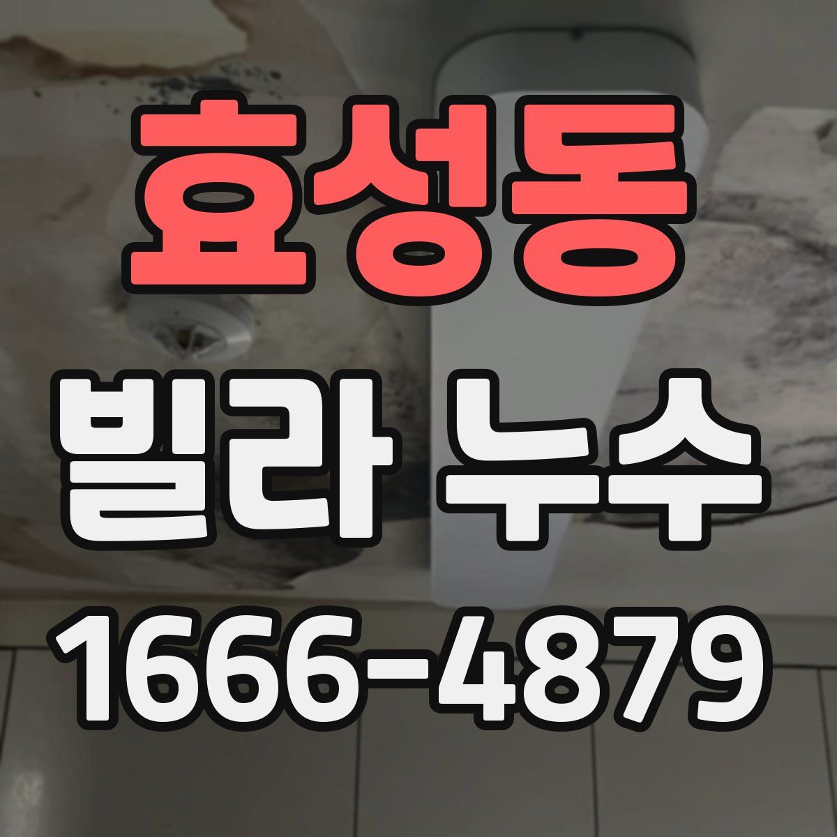 효성동 빌라 누수