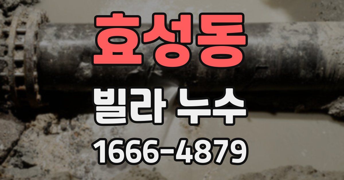 효성동 빌라 누수