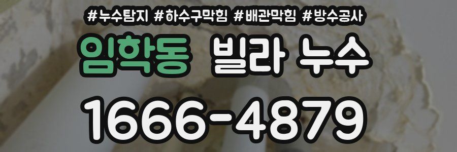 임학동 빌라 누수