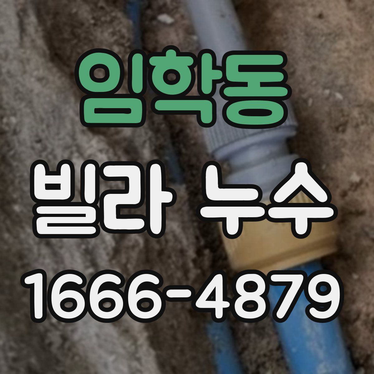 임학동 빌라 누수