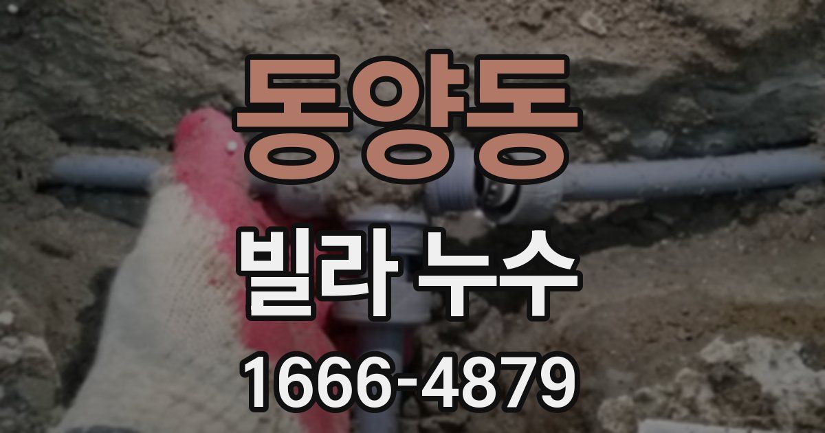 동양동 빌라 누수
