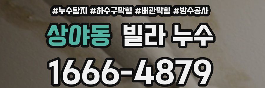상야동 빌라 누수