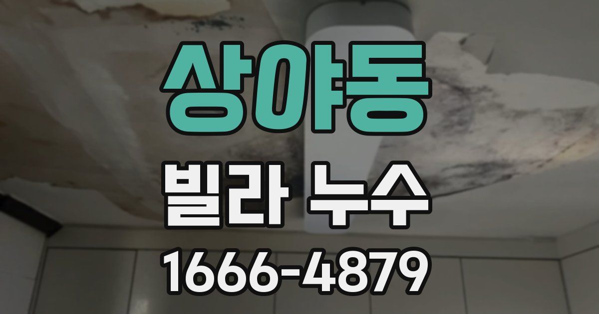 상야동 빌라 누수
