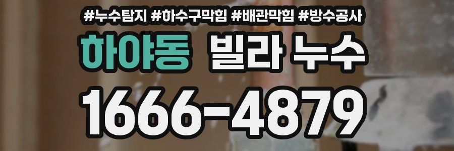 하야동 빌라 누수