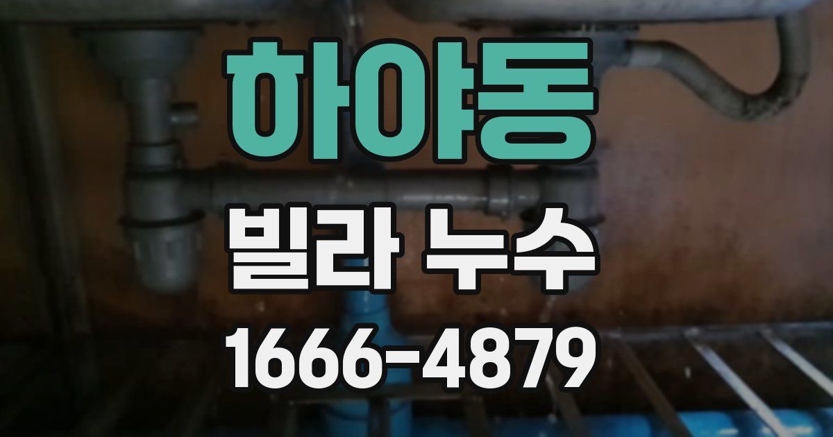 하야동 빌라 누수
