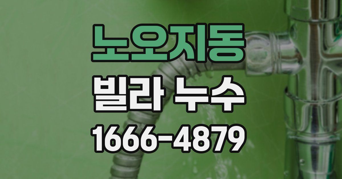 노오지동 빌라 누수