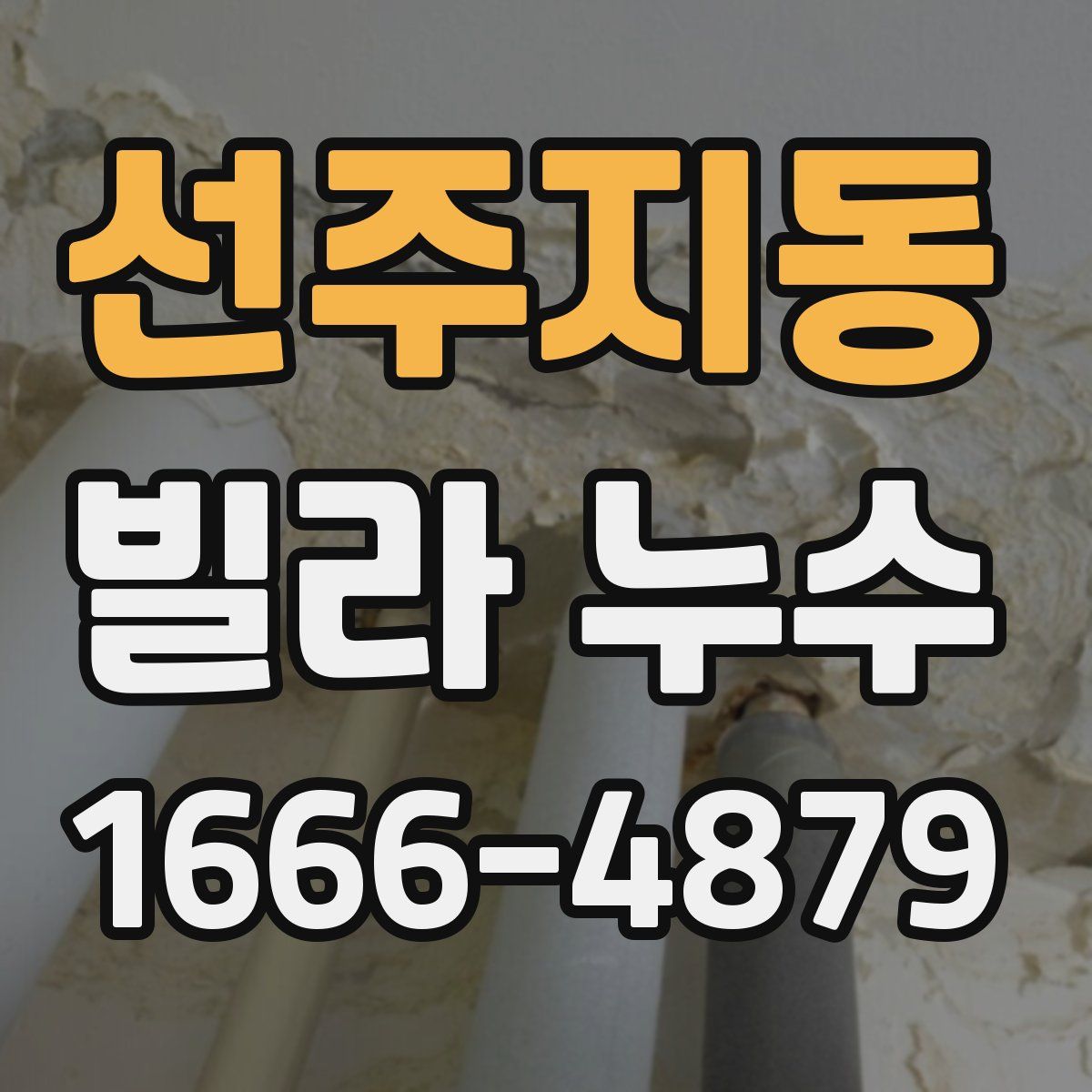 선주지동 빌라 누수