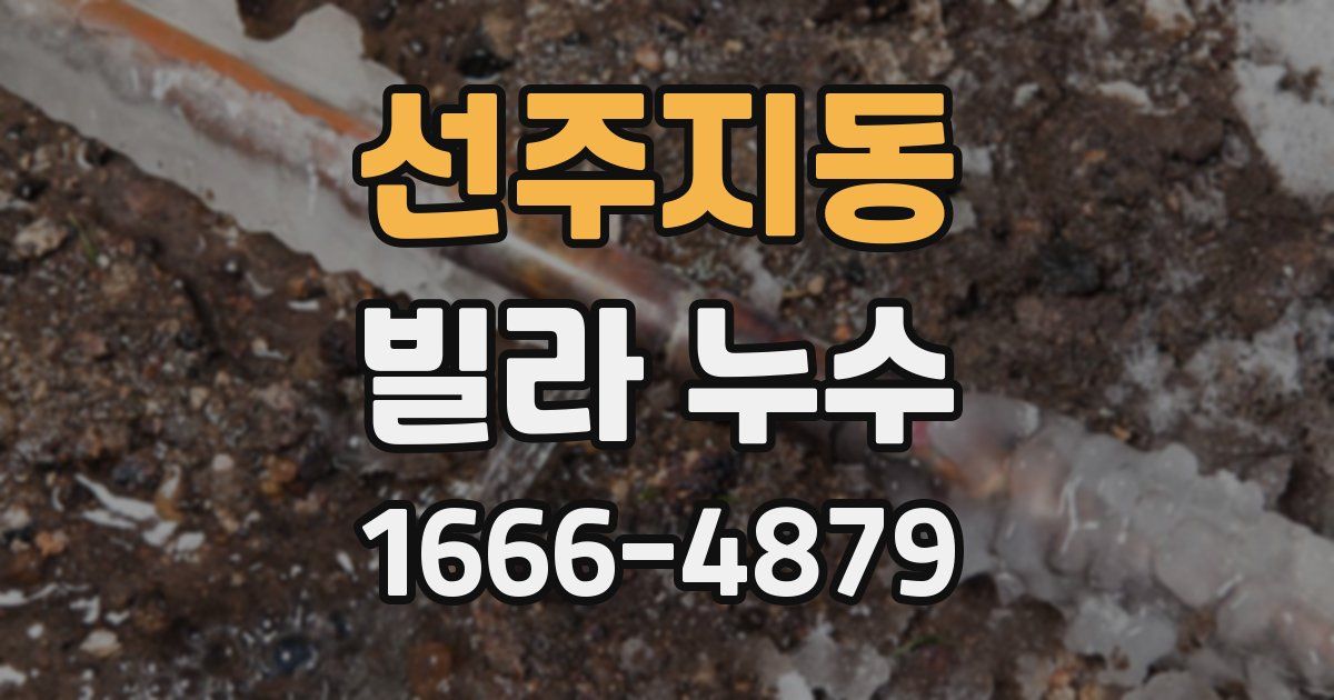 선주지동 빌라 누수