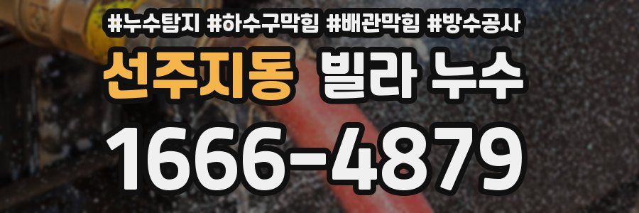 선주지동 빌라 누수