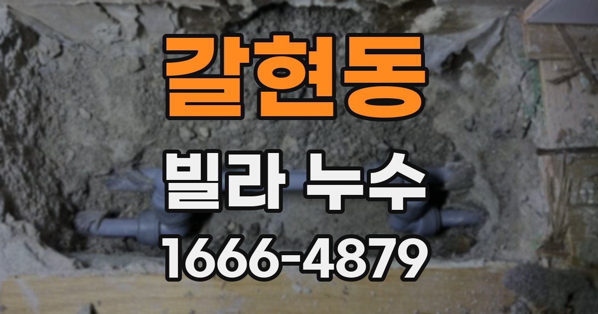 갈현동 빌라 누수