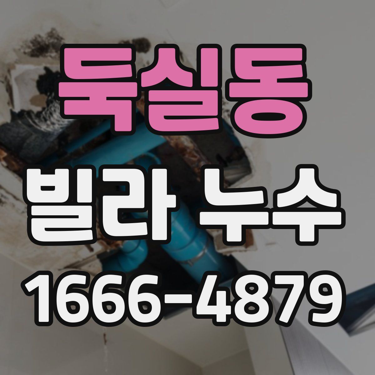 둑실동 빌라 누수