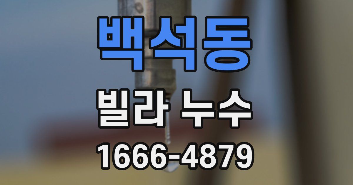 백석동 빌라 누수