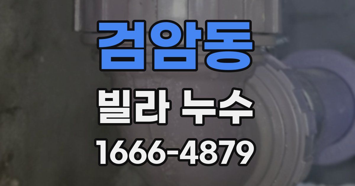 검암동 빌라 누수