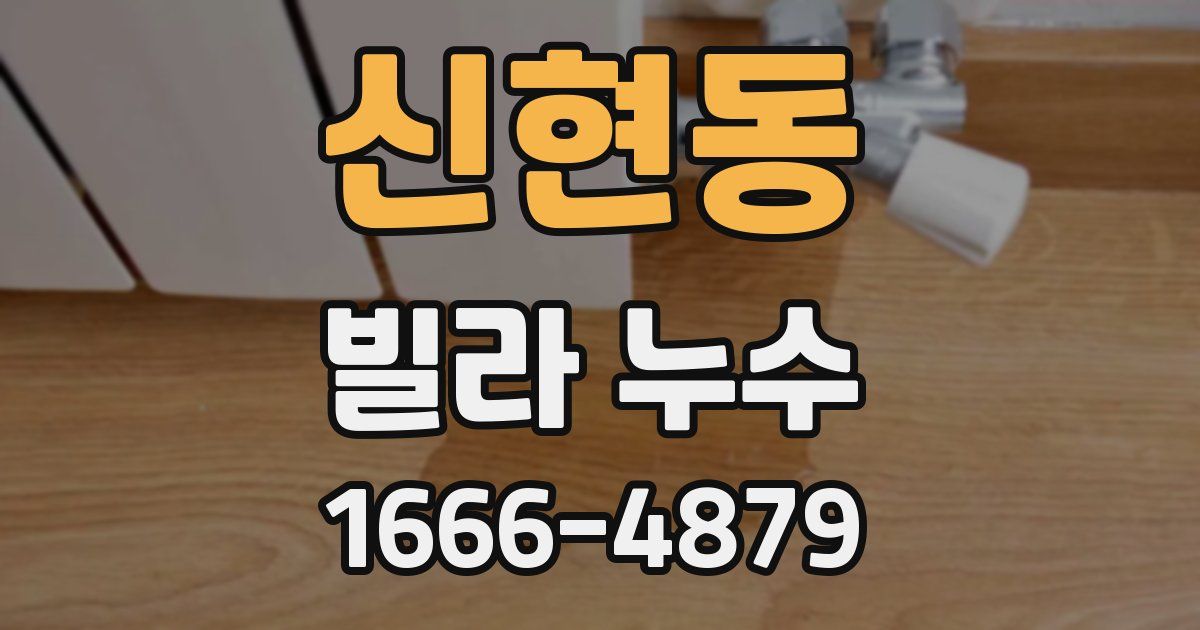 신현동 빌라 누수