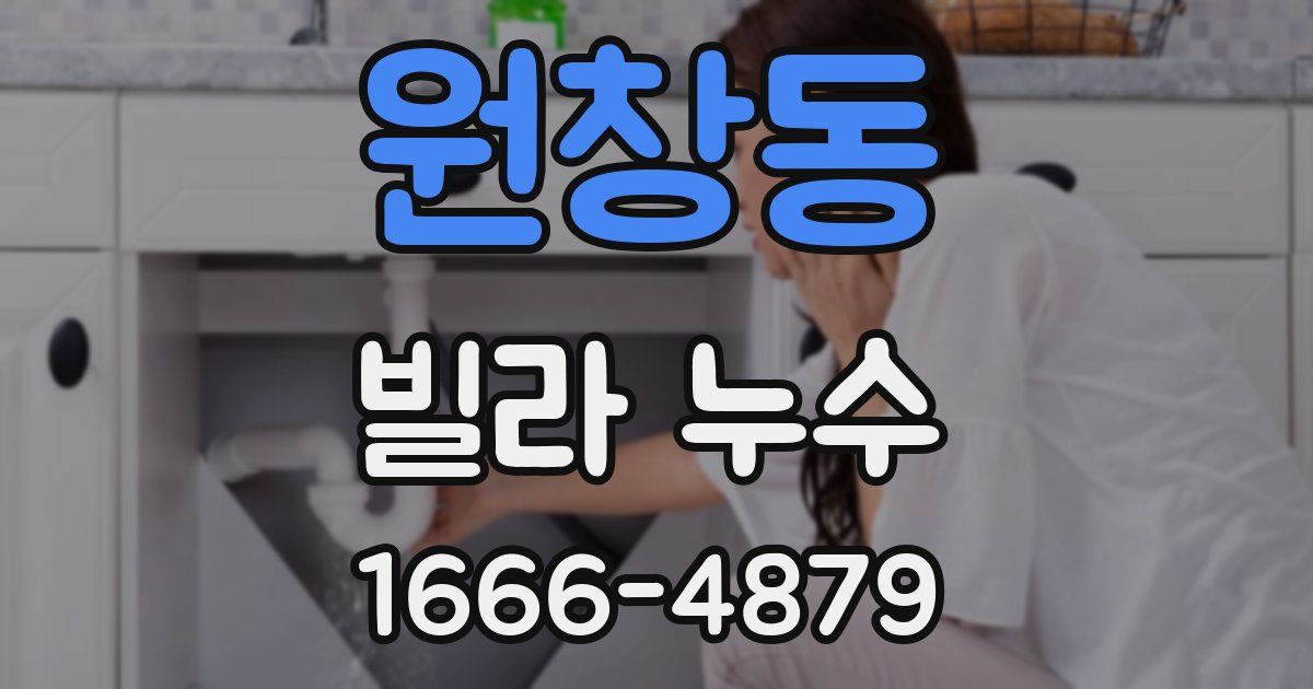 원창동 빌라 누수