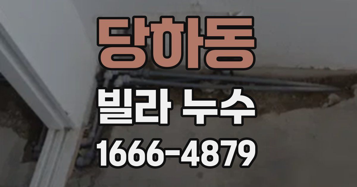 당하동 빌라 누수