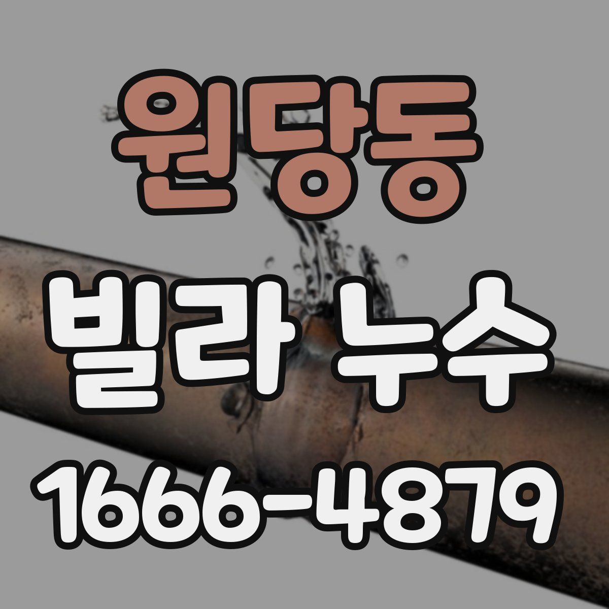 원당동 빌라 누수