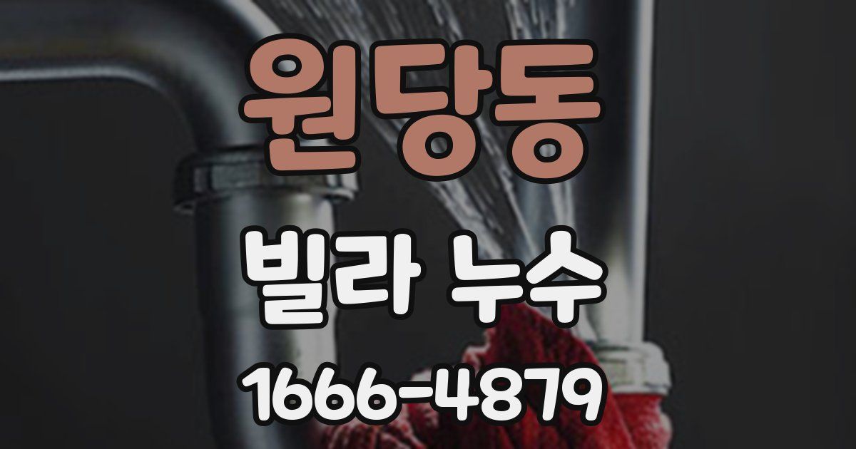 원당동 빌라 누수