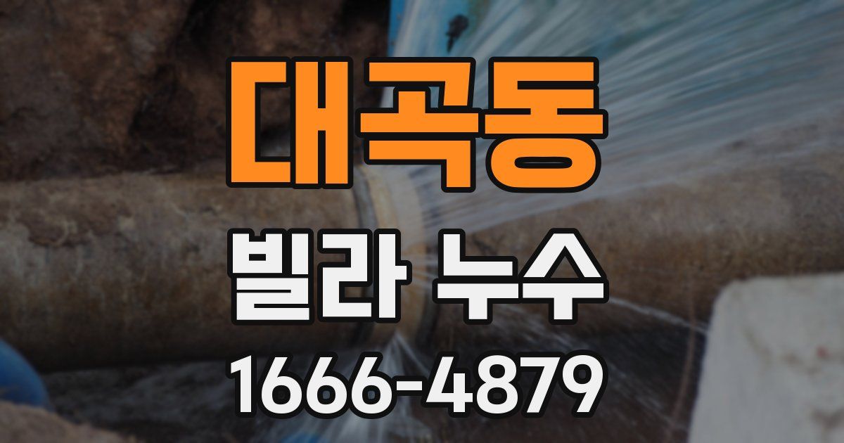 대곡동 빌라 누수