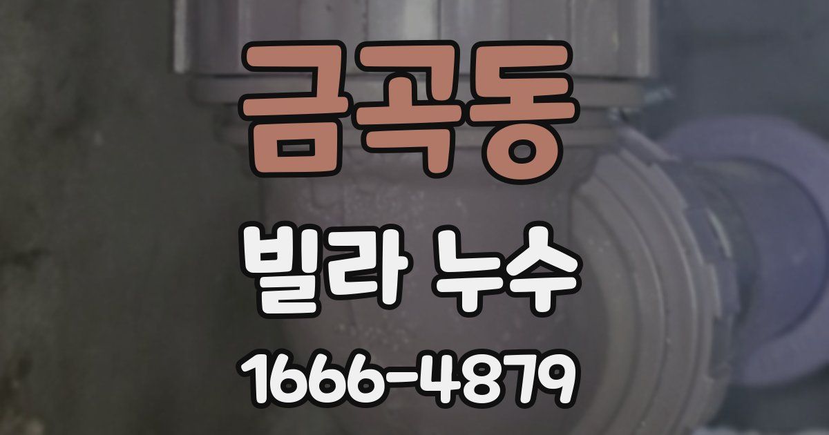 금곡동 빌라 누수