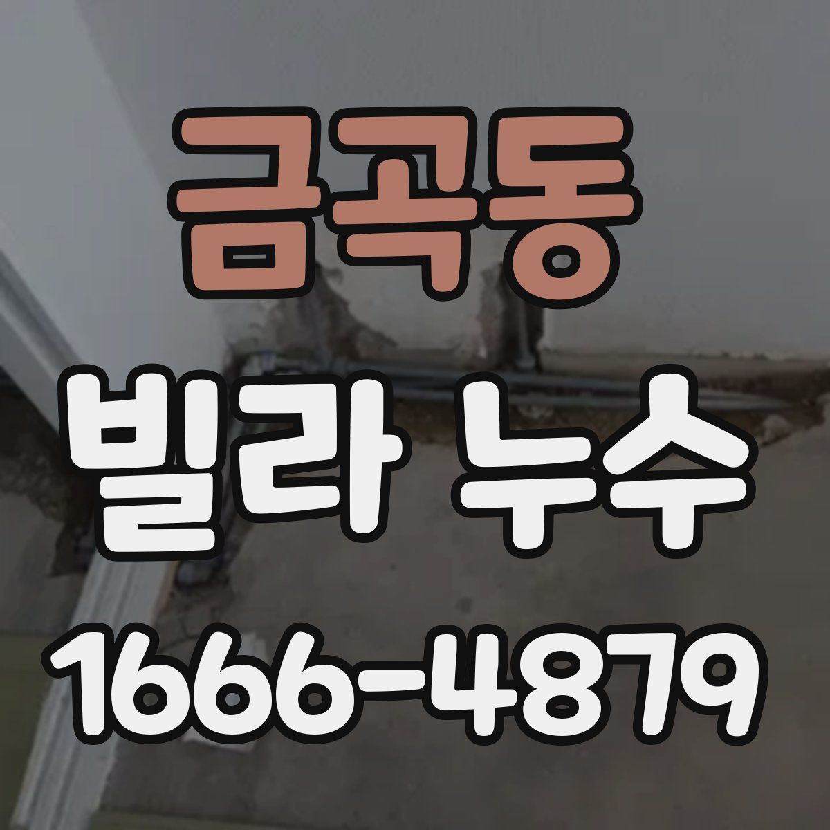 금곡동 빌라 누수