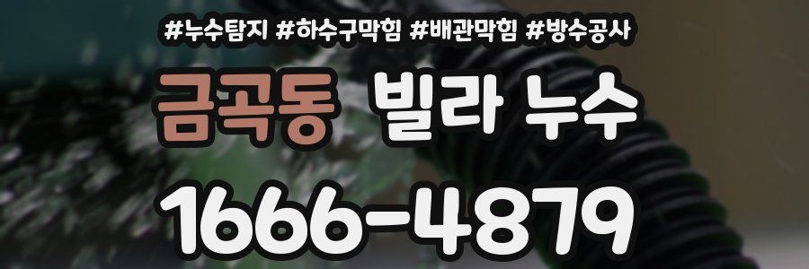 금곡동 빌라 누수