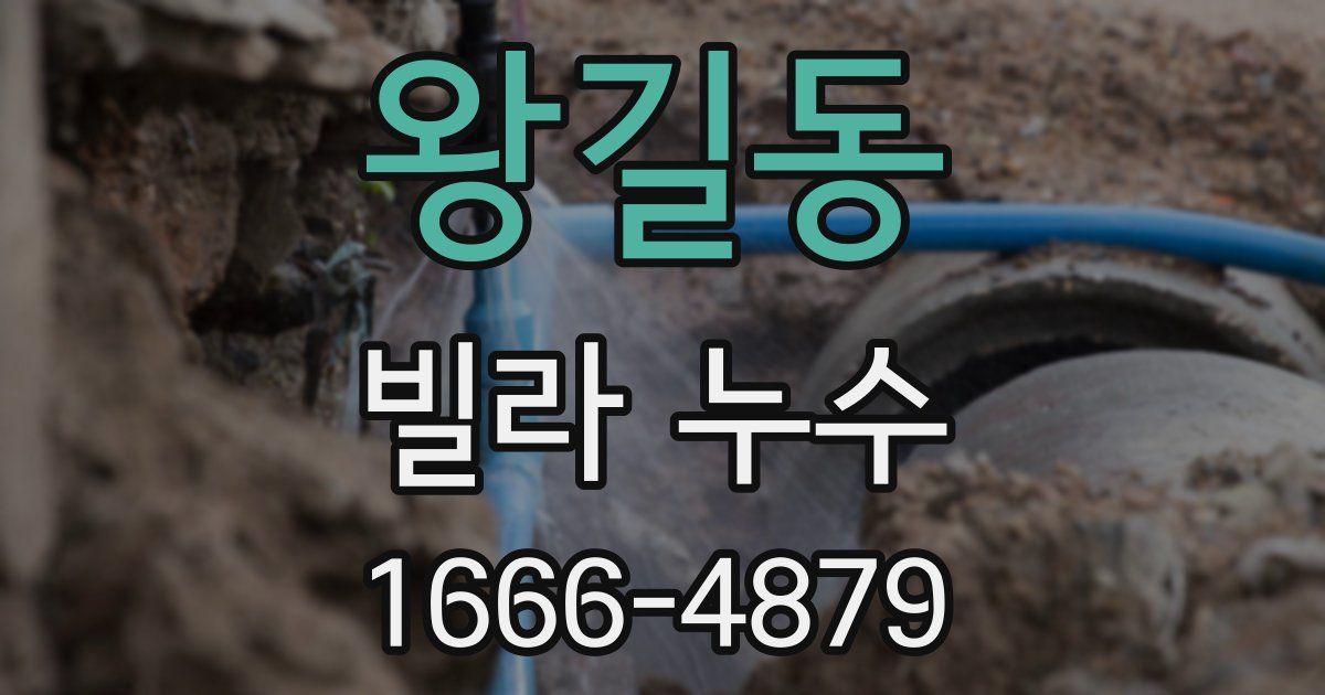 왕길동 빌라 누수