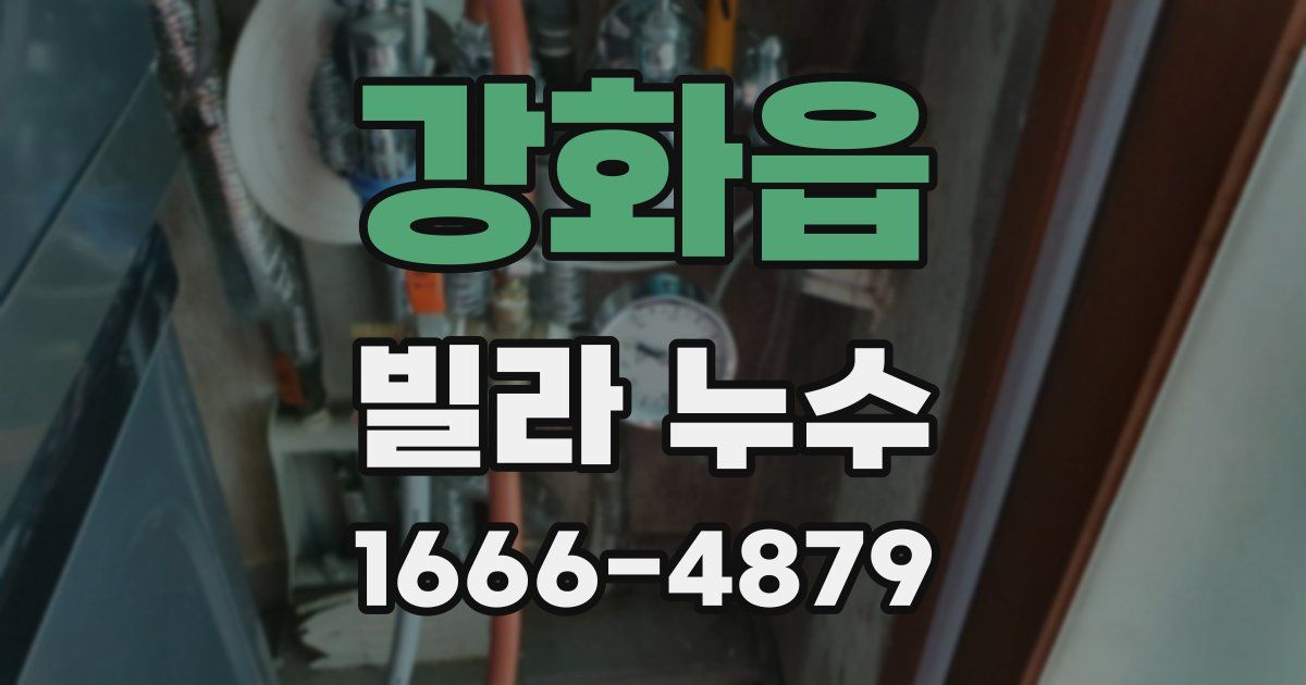 강화읍 빌라 누수