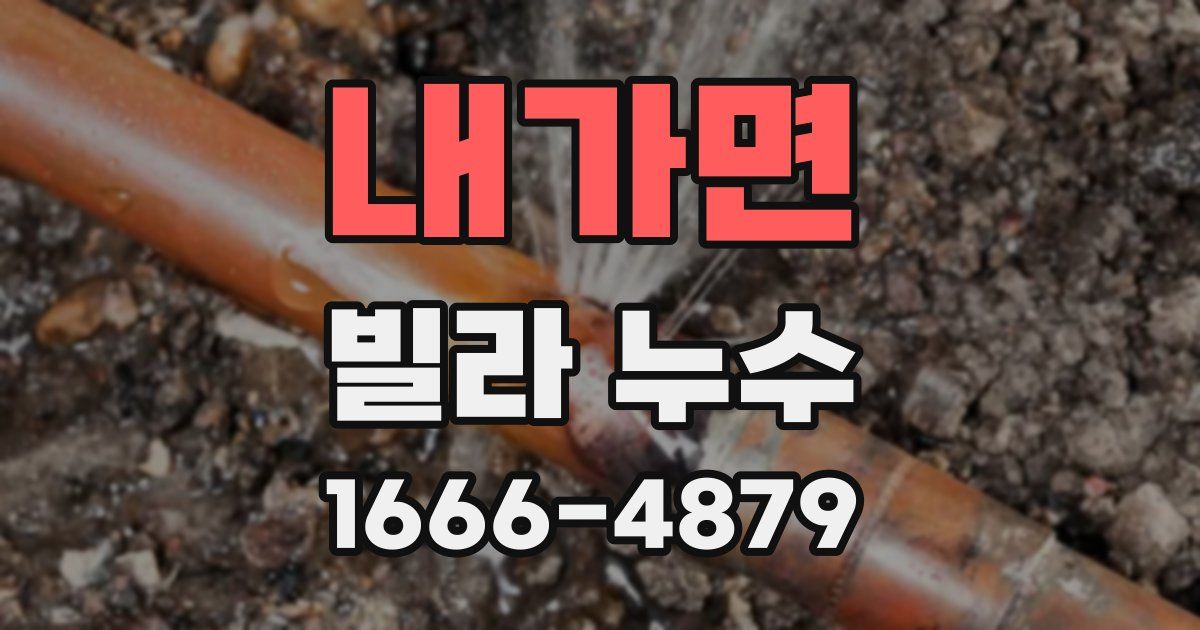 내가면 빌라 누수