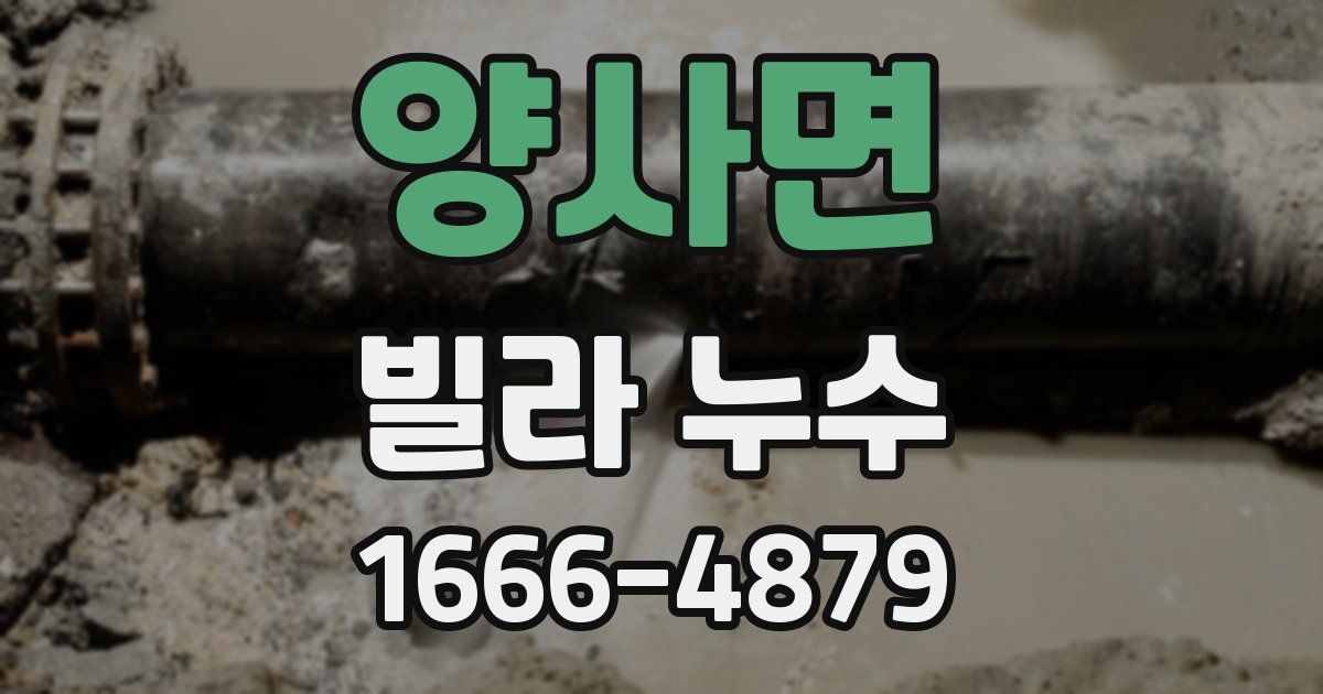 양사면 빌라 누수
