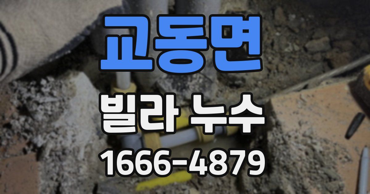 교동면 빌라 누수