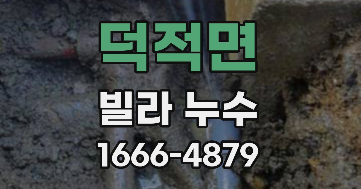 덕적면 빌라 누수
