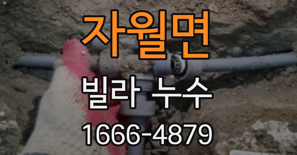 자월면 빌라 누수